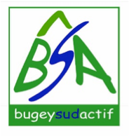 LogoBSA